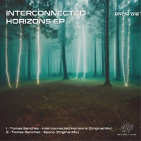Interconnected Horizons - Single - Tomas Sanchez