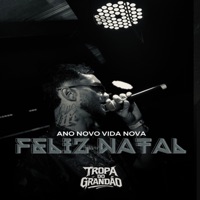 Ano Novo, Vida Nova X Quem Perdeu Que Chora - Single - TROPA DO GRANDÃO & MESTRE DOS MAGOS