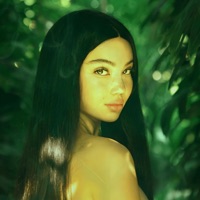 City is a jungle - Single - Dominic Grande