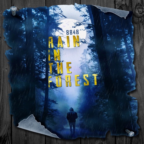 Rain The Forest - Single