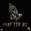 Pray for Me - Jah Vinci & Chronic Law