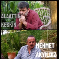 Ayrılık Acısı (feat. Mehmet Akyıldız) - Single - Alaattin Keskin