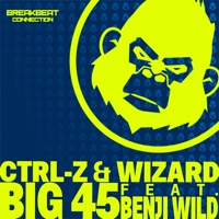 Big 45 - Single - Ctrl-Z, Wizard & Benji Wild