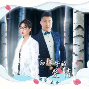 白桦林的爱情 - Single