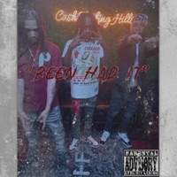 Been Had It (feat. YMC Booda & Ty Beezy) - Single - Swervvee