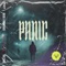 Panic - The Anix lyrics