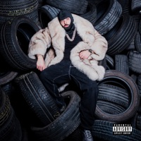 Life Is A Tarantella - Enzo D.o.n.g.