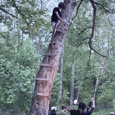 Pinot Grigio - Single