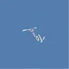 kwes. - Rollerblades (Tom Vek's 8 - On - The - Floor Remix)