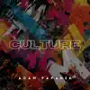 Adam Papanek - Culture