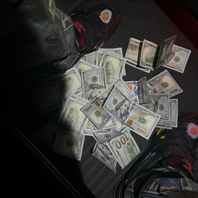 Came With The Bag - Single