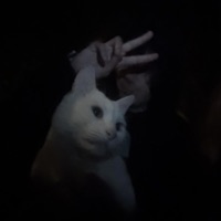 choir - Single - Astralproject1on