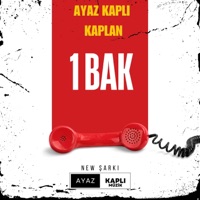 1 Bak - Single - Ayaz Kapli