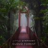 Cloud Forest - Single