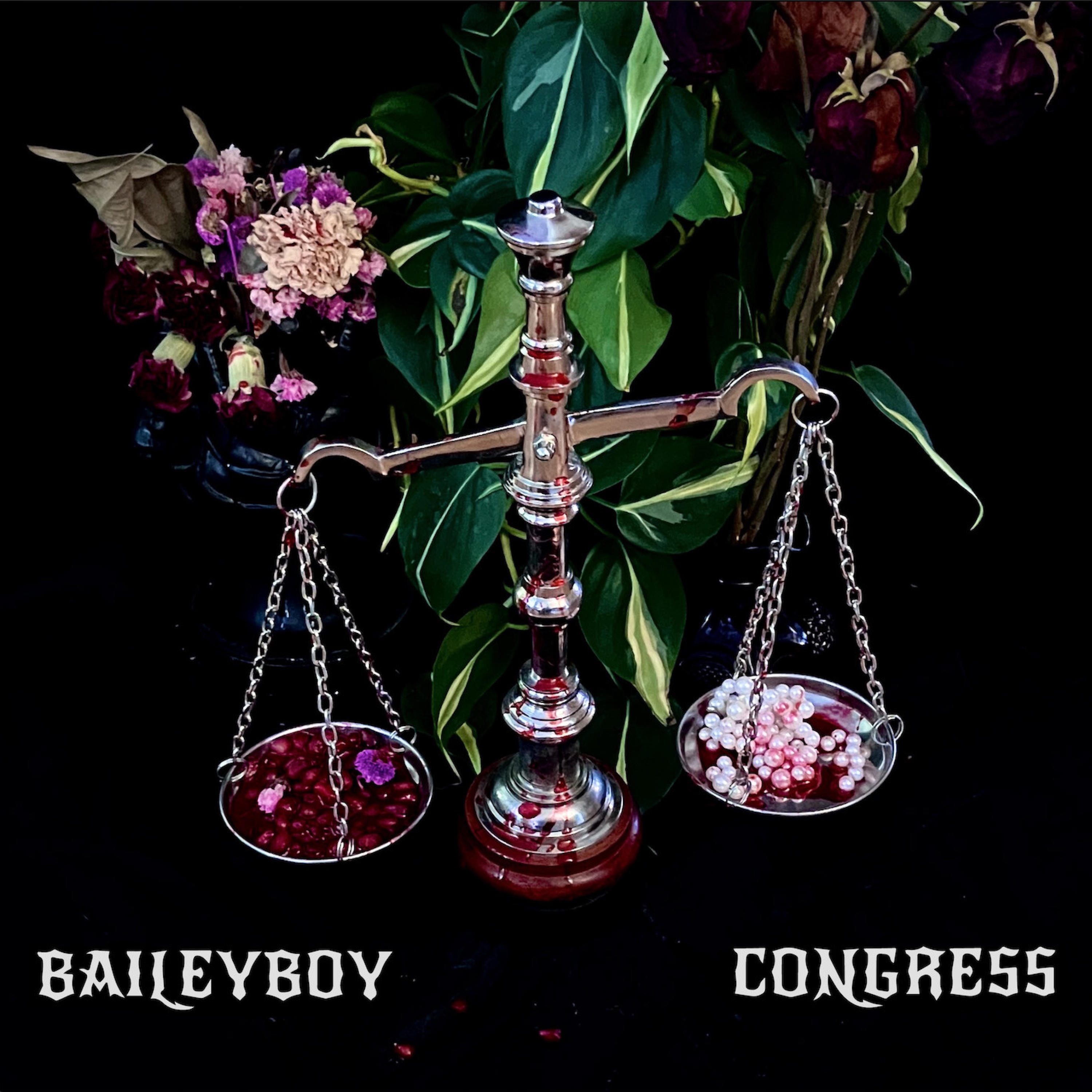 Congress - Single