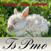 Ts Pmo