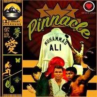 Pinnacle - Hip Hop Loves