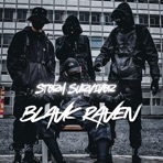 Storm Survivor - Single