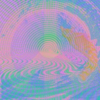 WORLD PEACE - Single - DZRT ANML