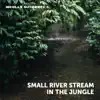 Nicolas Gutierrez G - Small River Stream in the Jungle