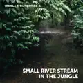 Small River Stream in the Jungle