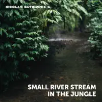 Small River Stream in the Jungle — Nicolas Gutierrez G