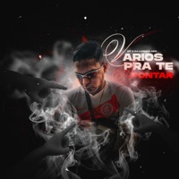 Vários pra Te Apontar (feat. Dj Luizinho MPC) - Single - MT