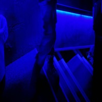 Stfu (feat. J Molley) - Single - Southside Matt