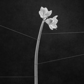 Dreamweaver artwork