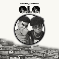 QLQ (feat. Afro N***a) - Single - Js the One
