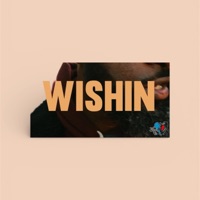 Wishing (feat. Apollo Brown & Dj illogik) - Single - Finale