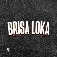 Brisa Loka - Single - Dj Bnão, MC FURI SP & Dre