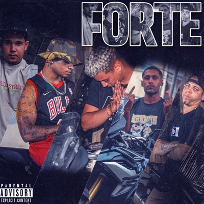 Forte (feat. VeeneMc, Ninhow, Herick Brown, MC BRUNINHO FOX & Menor_W) - Single