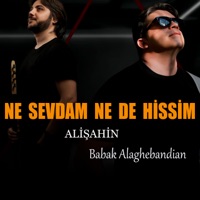 Ne Sevdam Ne De Hissim (feat. Babak Alaghebandian) - Single - Alişahin