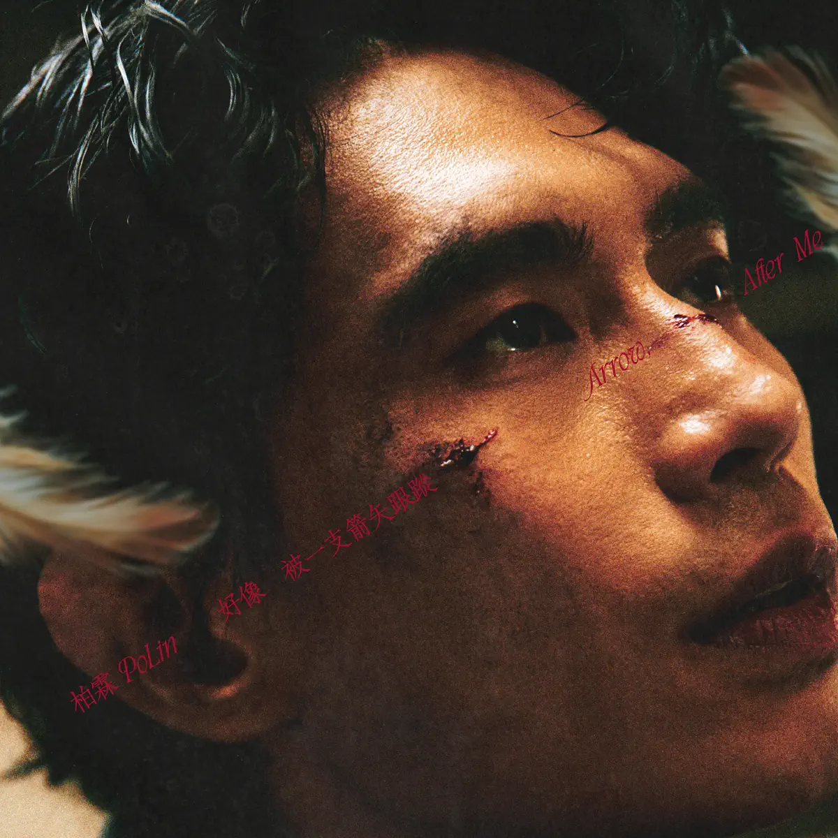 柏霖PoLin - 好像被一支箭矢跟蹤 - Single (2025) [iTunes Plus AAC M4A]-新房子