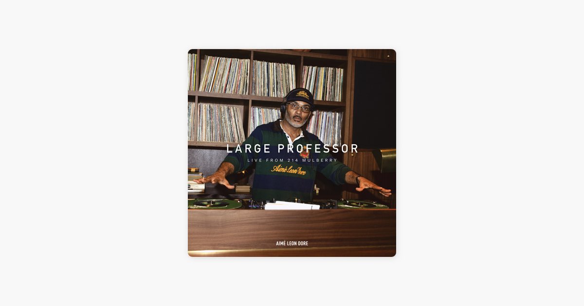 洋楽 EAST FLATBUSH PROJECT/LARGE PROFESSOR LARGE PROFESSOR - Professor @ Large - Amazon.com Music