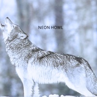 Neon Howl - Single - Jobrizz