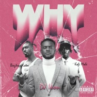Why - Single - DJ Ikon, Beeztrap Kotm & Kofi Mole