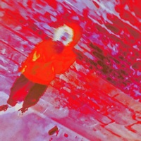 Patience Is a Virtue - Single - JAYZXR