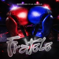 Fratele - Single - Gheboasa & Lil Cagula