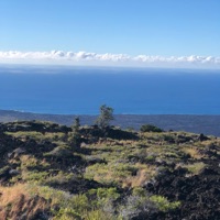 Drugs (feat. TokinPotent) - Single - Skoony