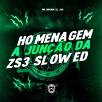 Homenagem a Junção da ZS3 (Slowed) - Single - DJ JHS & Mc Bruna