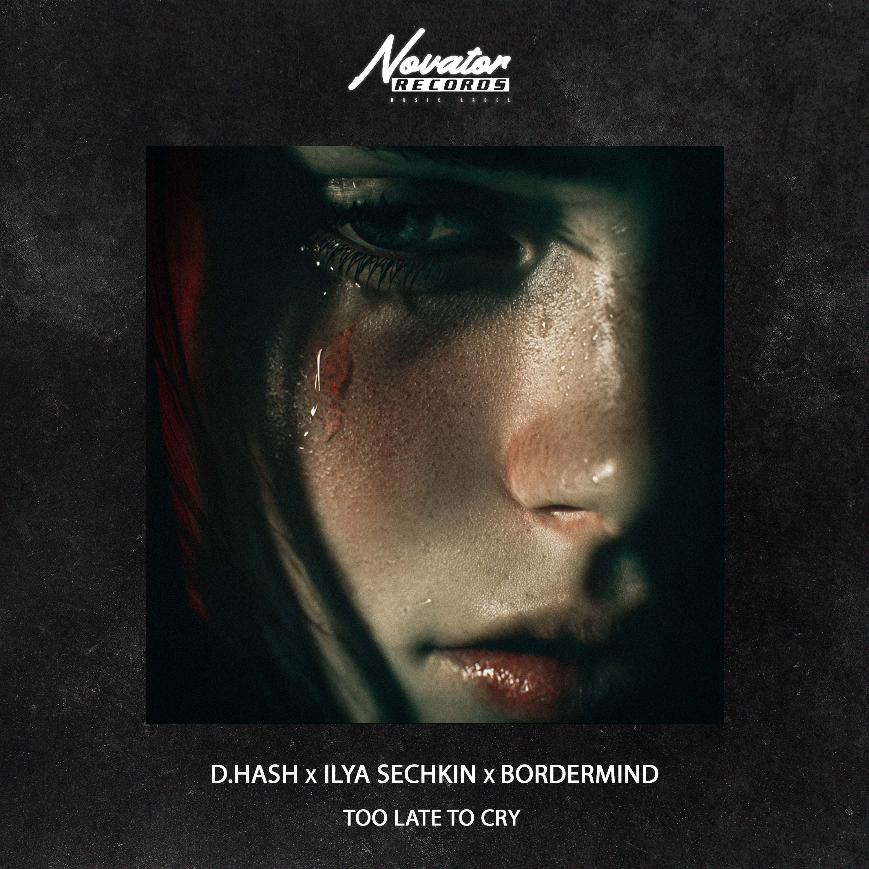 Too Late to Cry - Single