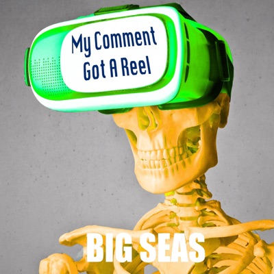 My Comment Got A Reel - Single