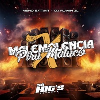 Malemolência  Piru Maluco - Single - DJ FLAVIN ZL & Meno Saaint