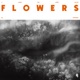 Flowers Single