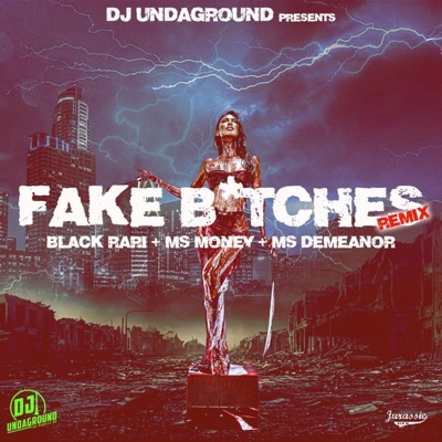 Fake Bitches ATX (feat. MsMoney, Blaque Rari & MsDemeanor) [ATX Remix] - Single