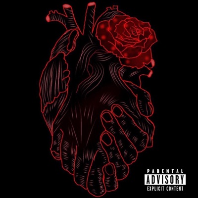 Animale - Single