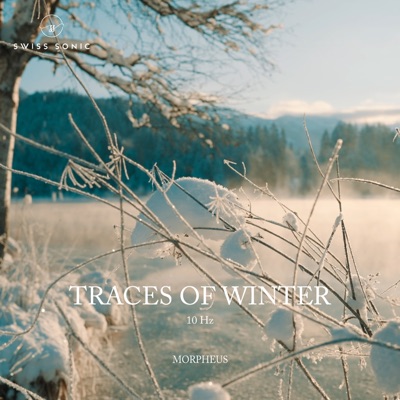 Traces of Winter - Single