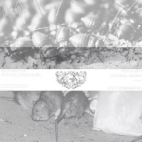 Rodents - Single - Ryan Michael